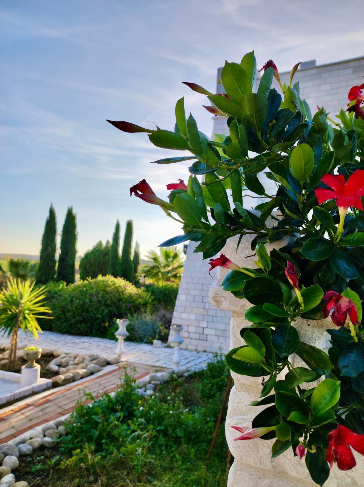 Bed and Breakfast Albadido Campomarino  Exterior foto